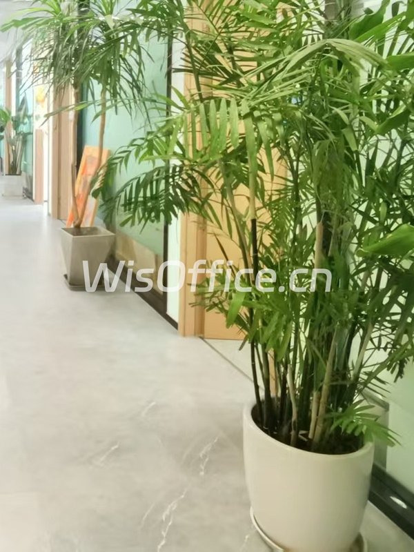 成本优势优选 818㎡ 租金低至5.8元 - 首图