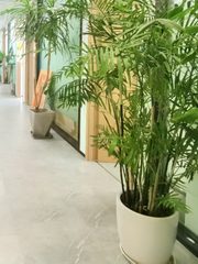 成本优势优选 818㎡ 租金低至5.8元 - 缩略图 1