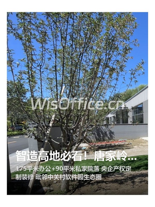 智造高地必看！唐家岭双院落静待远见者 - 首图