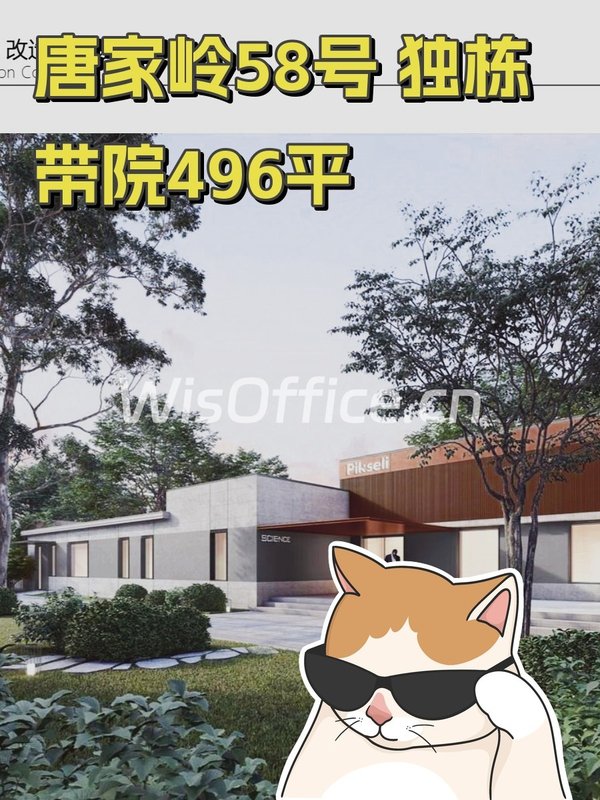 唐家岭58号 独栋带院496平 - 首图