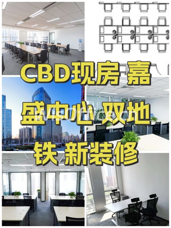 CBD现房 嘉盛中心 双地铁 新装修 - 首图