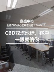 CBD双塔地标，客户一眼就信你 - 缩略图 1