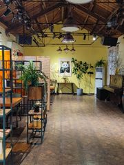191平米独栋带小院，价格可谈在四惠 - 缩略图 12
