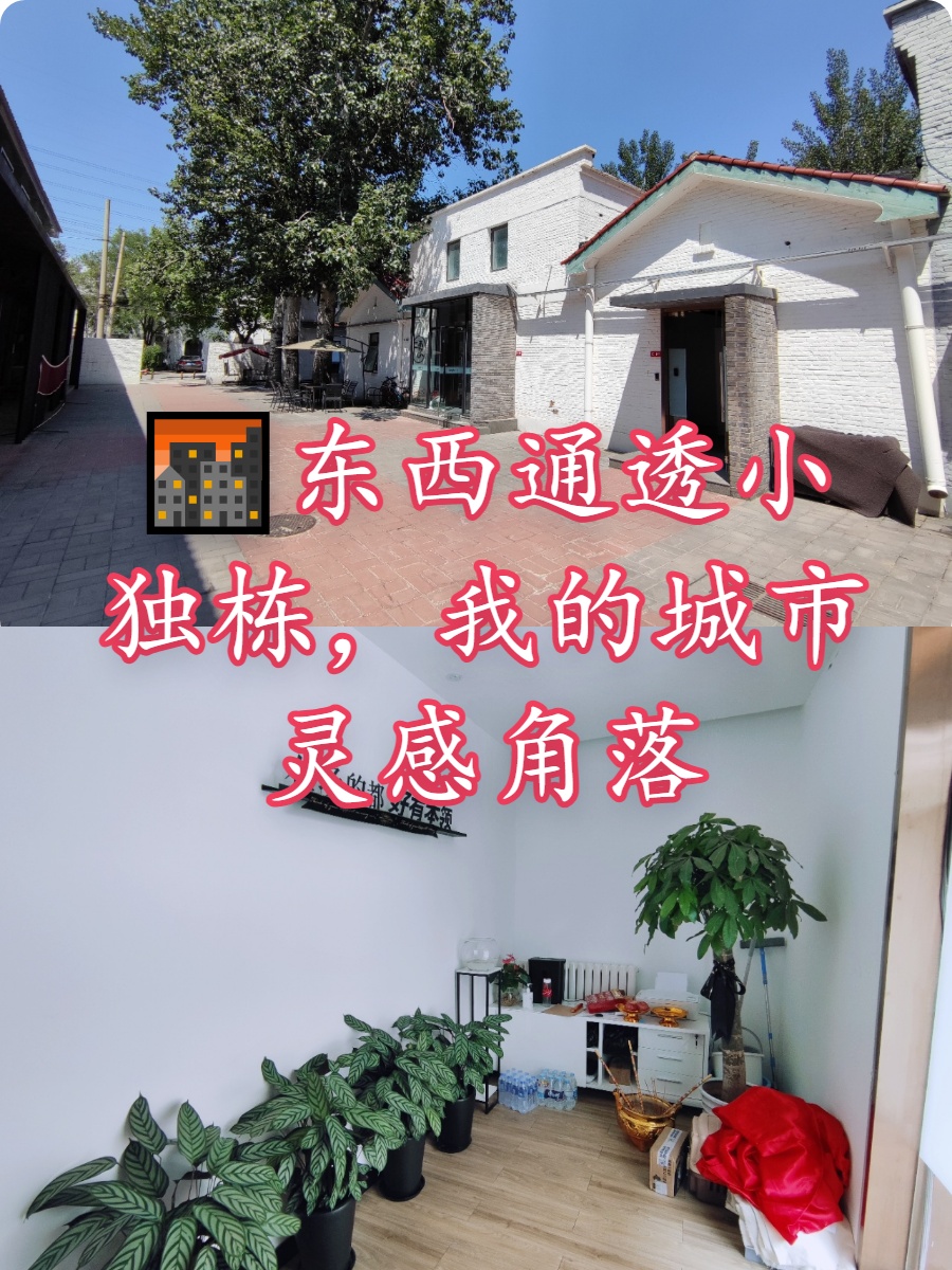 🌆东西通透小独栋，我的城市灵感角落