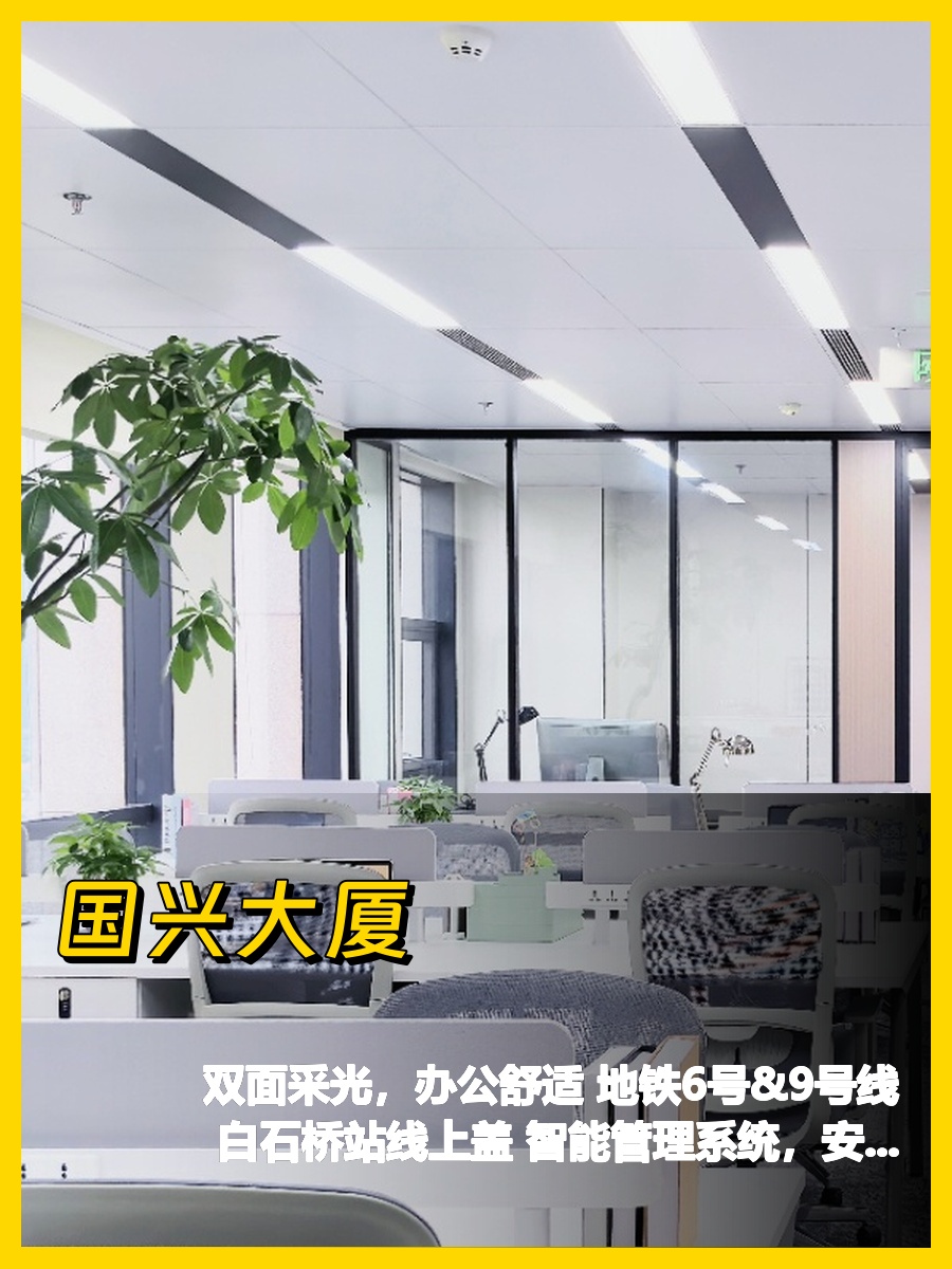 国兴大厦采光好，我好喜欢