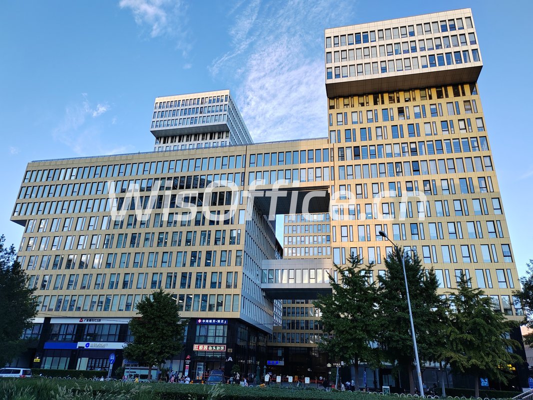 国际