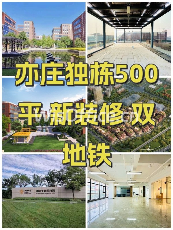亦庄独栋500平 新装修 双地铁 - 首图
