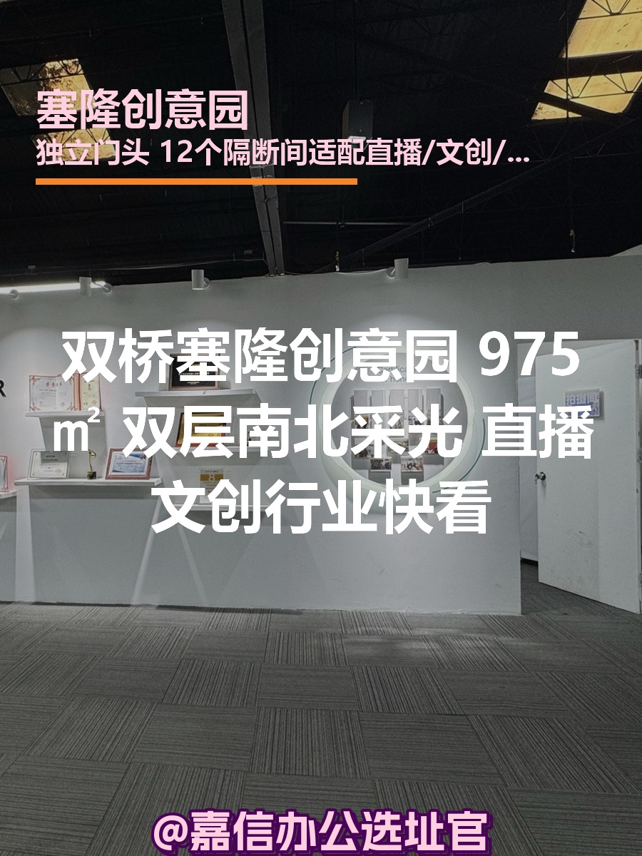 塞隆创意园 975㎡ 双层南北采光 直播文创