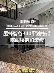 墨蜂智谷340平独栋带院阁楼遗留装修 - 缩略图 1