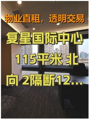复星国际中心 115平米 北向 2隔断12工位 - 缩略图 1