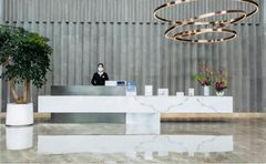 复星国际中心115平 双地铁 北向采光 - 缩略图 3