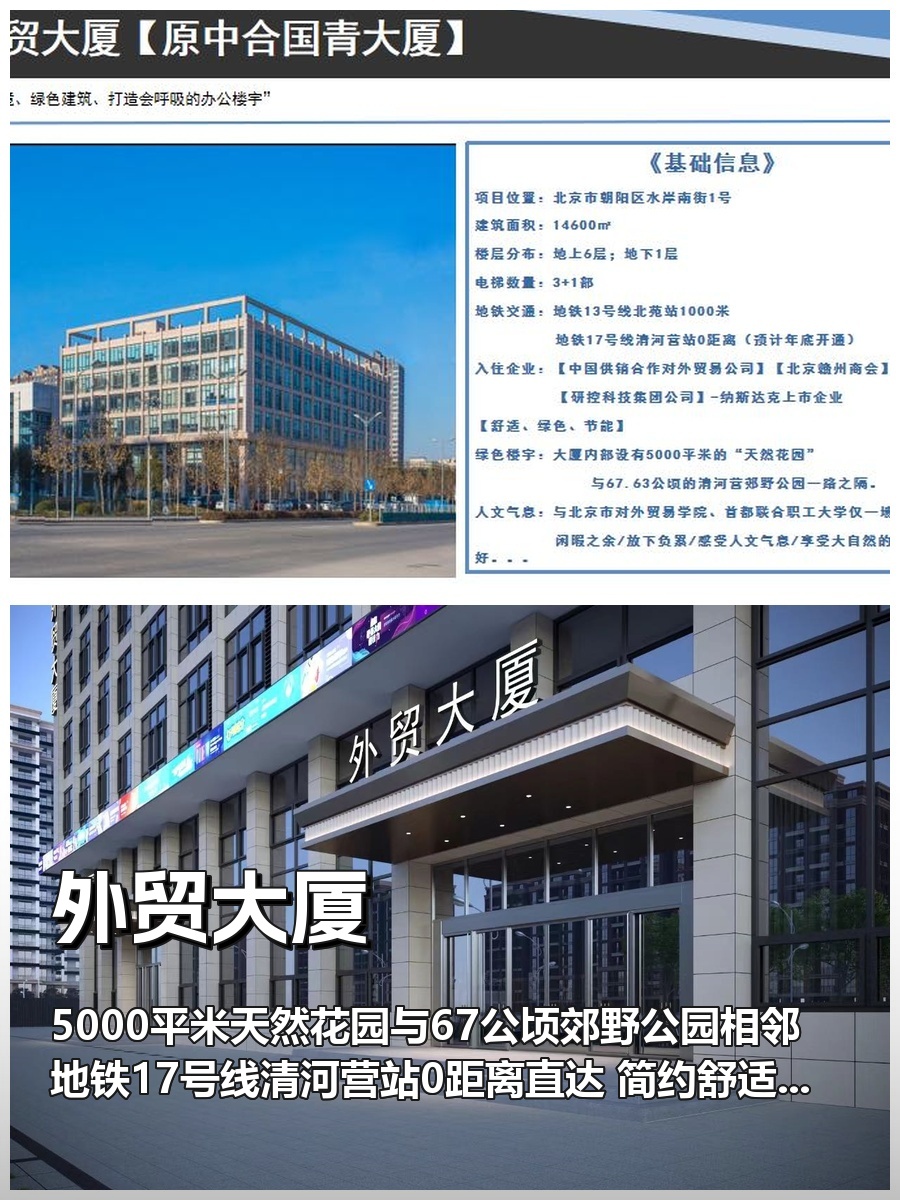 如何在生态办公中提升团队幸福感？