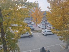 真房｜大地时尚文创园 |408平｜3元 - 缩略图 20