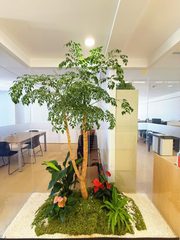 天通苑科技园，租金低至一杯咖啡价 - 缩略图 12