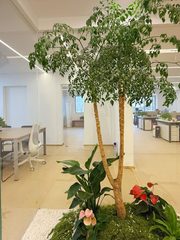 138㎡东南向飘窗工位，配套健身房咖啡厅 - 缩略图 9