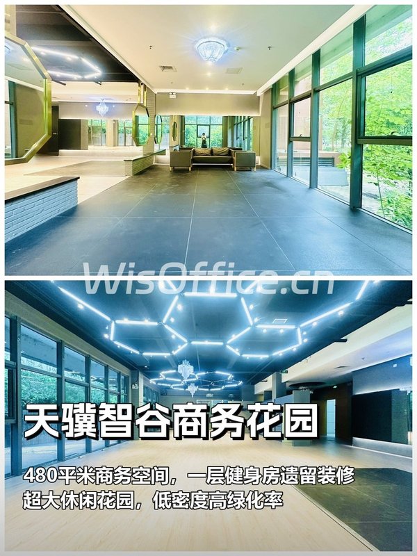 推荐480平带花园健身房遗留装修 - 首图