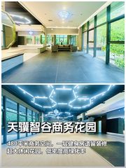 推荐480平带花园健身房遗留装修 - 缩略图 1