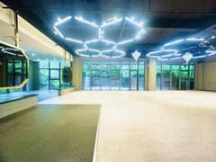 推荐天骥智谷480平带花园 - 缩略图 9