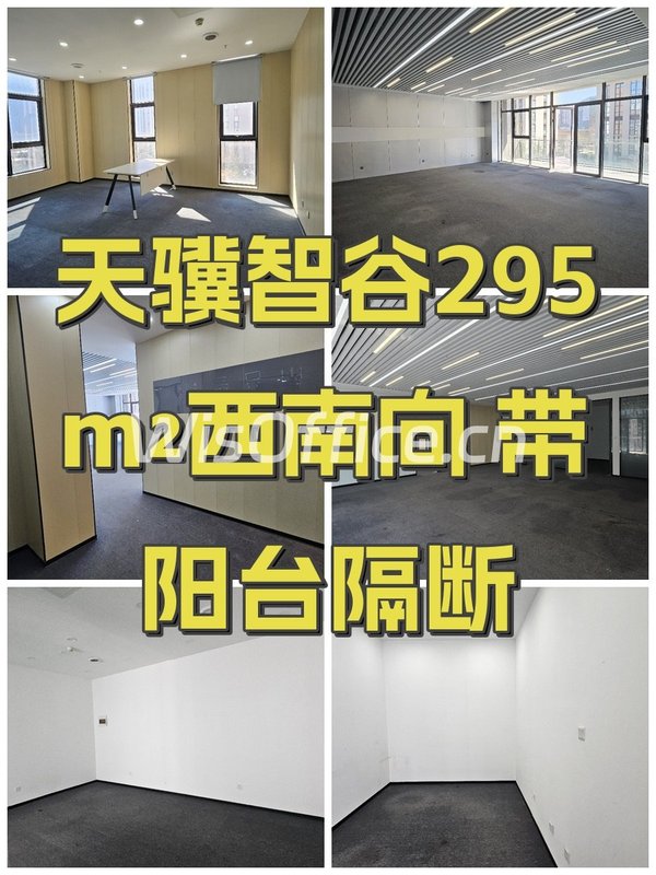 天骥智谷295m²西南向 带阳台隔断 - 首图