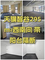 天骥智谷295m²西南向 带阳台隔断 - 缩略图 1