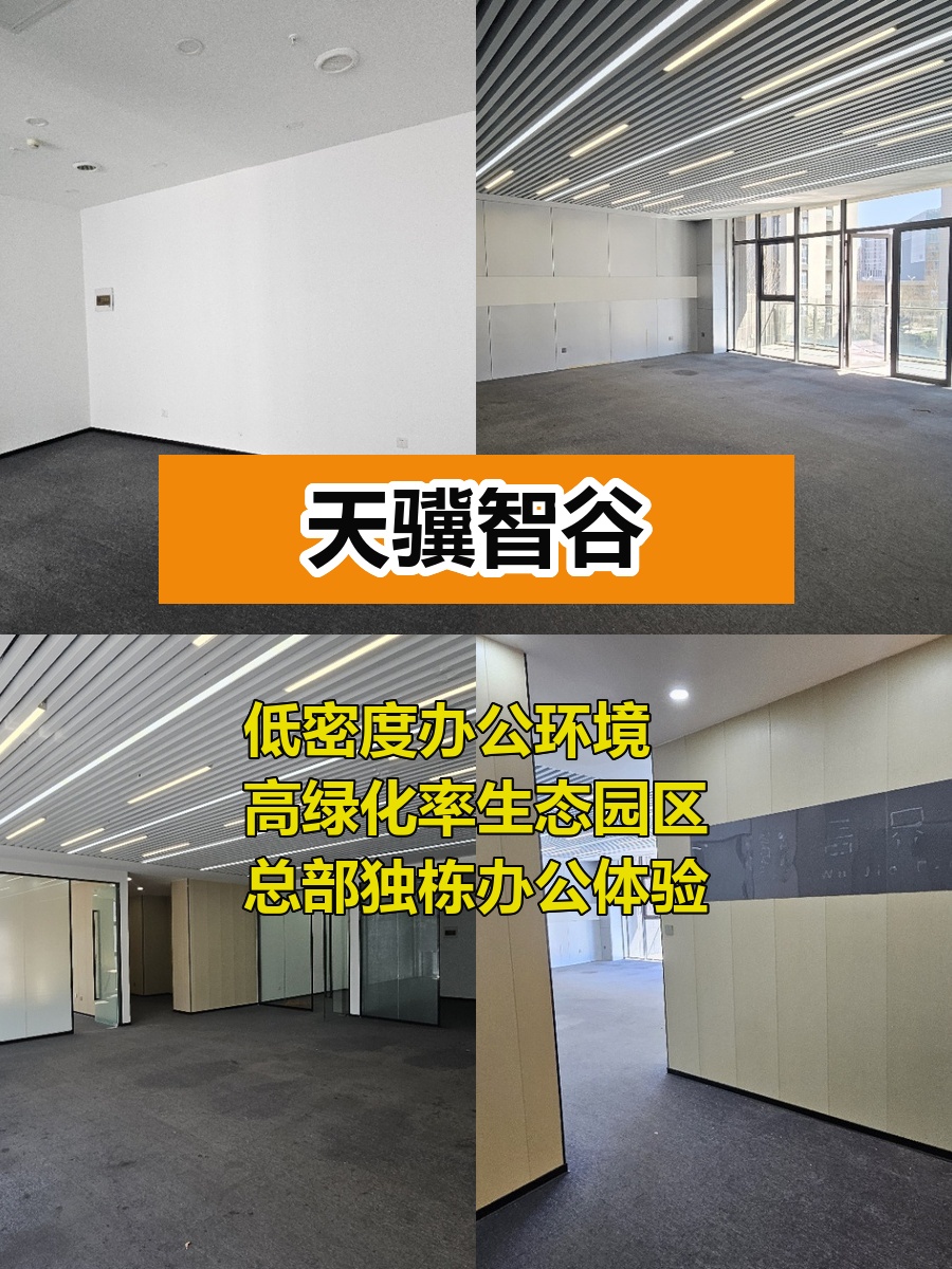 推荐天骥智谷295平生态办公