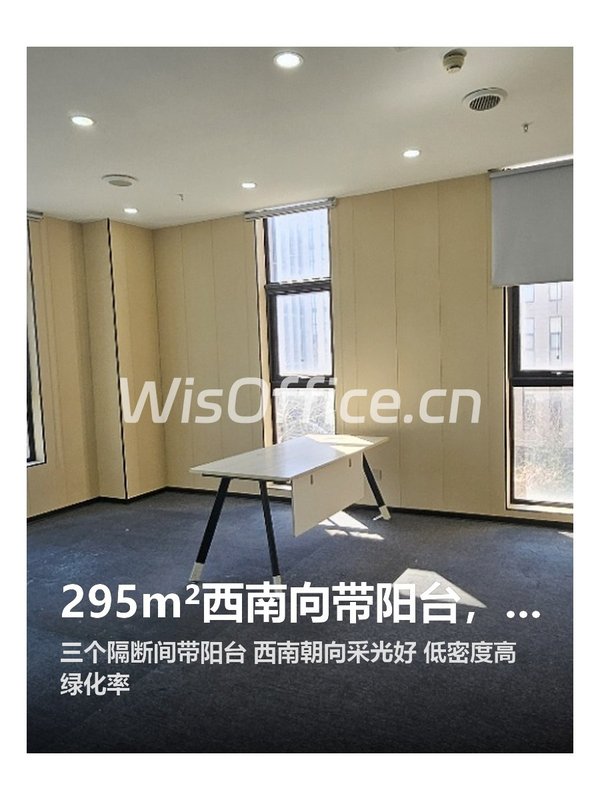 295m²西南向带阳台，办公空间太绝了 - 首图