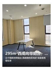 295m²西南向带阳台，办公空间太绝了 - 缩略图 1