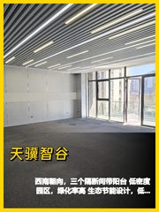 295平落地窗办公室，采光绝了 - 缩略图 1