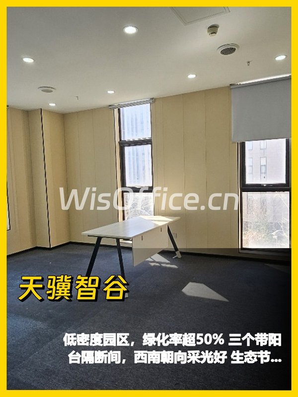 亦庄新发现，我好喜欢这个295平独栋 - 首图