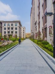 花园独栋 276㎡ 北五环近 - 缩略图 17