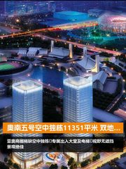 奥南五号空中独栋11351平米 双地铁 - 缩略图 1