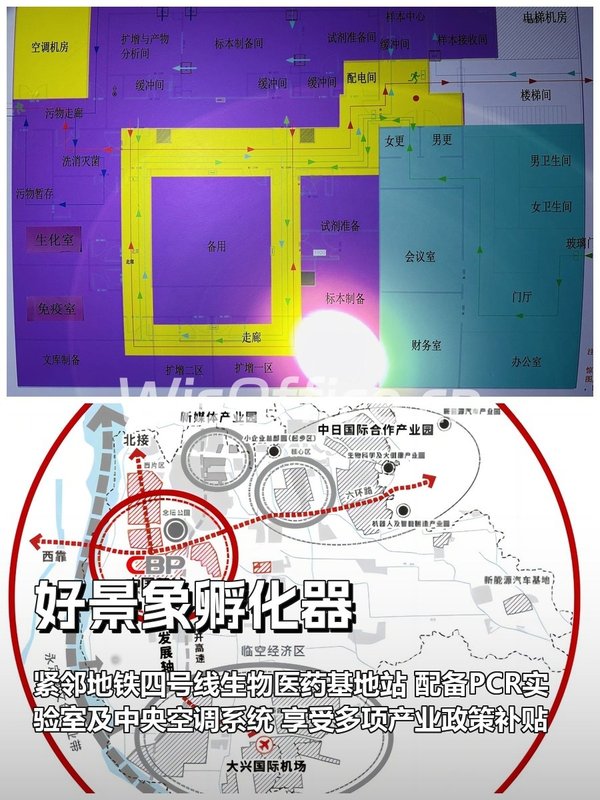 生物医药企业效率翻倍的秘密 - 首图