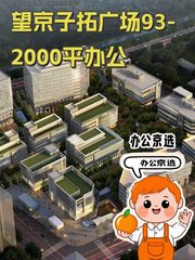 望京子拓广场93-2000平地铁上盖办公 - 缩略图 1