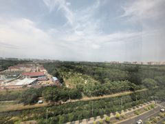 北湖渠路 | 子拓国际广场 | 花园办公新体验？ - 缩略图 14