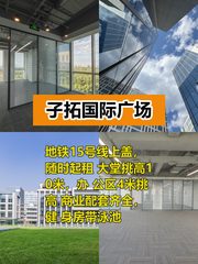 子拓国际广场494平精装地铁上盖 - 缩略图 1