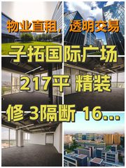子拓国际广场 217平 精装修 3隔断 16工位 地铁上盖 - 缩略图 1