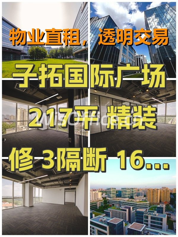 子拓国际广场 217平 精装修 3隔断 16工位 地铁上盖 - 首图
