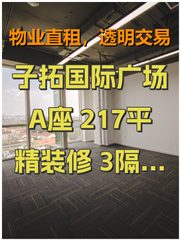 子拓国际广场 A座 217平 精装修 3隔断 16工位 - 缩略图 1