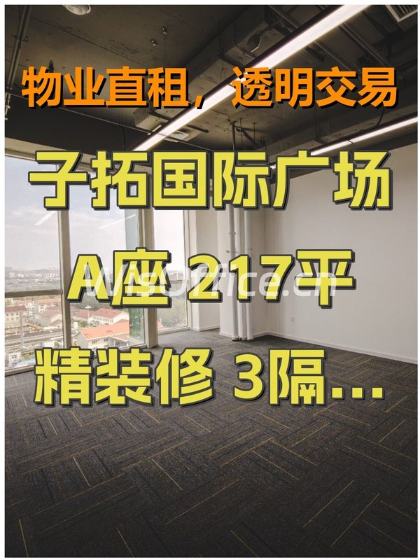 子拓国际广场 A座 217平 精装修 3隔断 16工位 - 首图