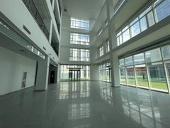 北湖渠路写字楼 独栋办公 4.5米挑高 - 缩略图 14