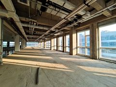 北湖渠路独栋办公 4.5米层高 - 缩略图 8