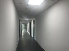 北湖渠路写字楼 12层独栋 - 缩略图 14