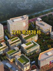 北湖渠路写字楼 12层独栋 - 缩略图 1
