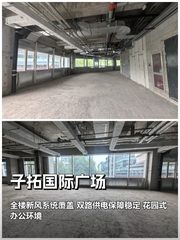 北湖渠西路独栋办公 7550㎡ 4.5米层高 低密度园区 - 缩略图 1