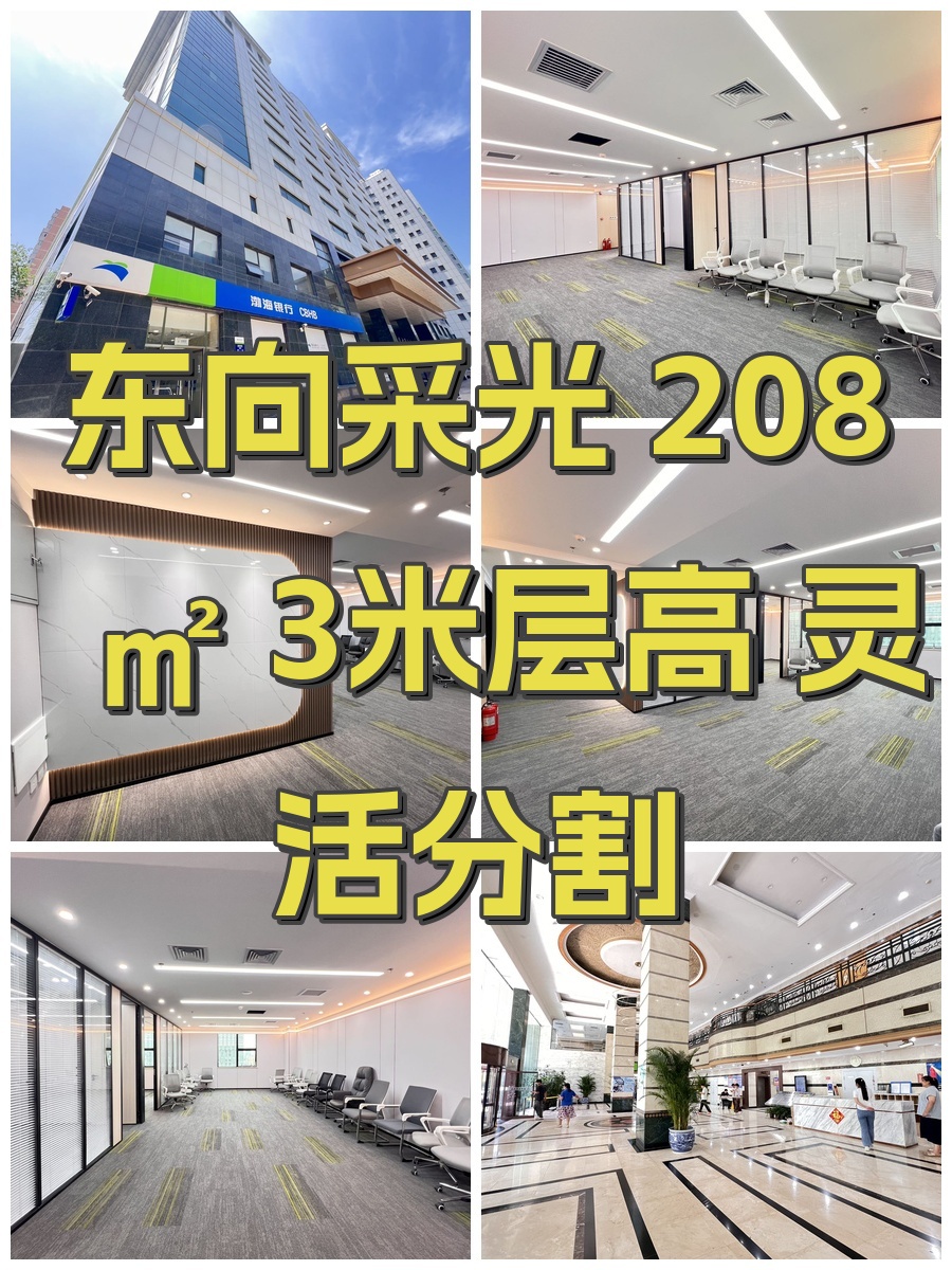 东向采光 208㎡ 3米层高 灵活分割