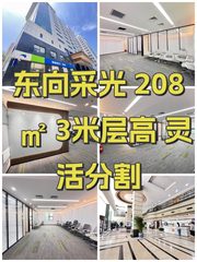 东向采光 208㎡ 3米层高 灵活分割 - 缩略图 1