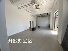 安家work文创园317平独栋独院大露台 - 缩略图 5