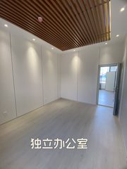 安家work文创园317平独栋独院大露台 - 缩略图 8