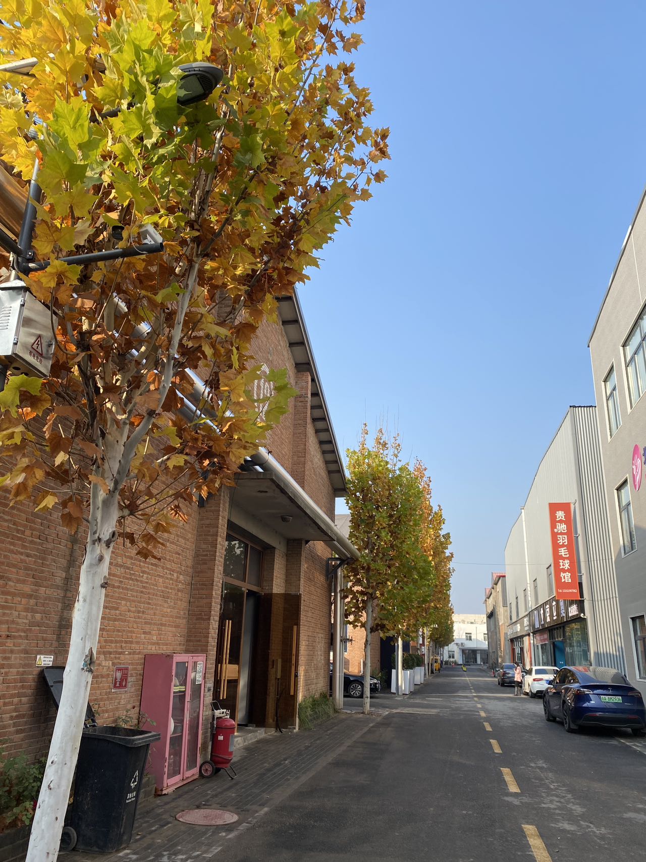 🌿独栋挑高，创业者的宁静港湾