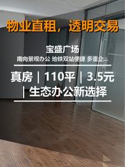 真房｜宝盛广场 |110平｜3.5元｜生态办公新选择 - 缩略图 1